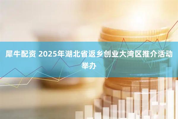 犀牛配资 2025年湖北省返乡创业大湾区推介活动举办