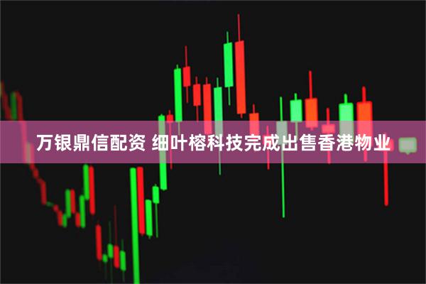 万银鼎信配资 细叶榕科技完成出售香港物业