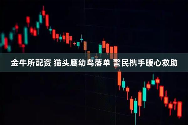 金牛所配资 猫头鹰幼鸟落单 警民携手暖心救助