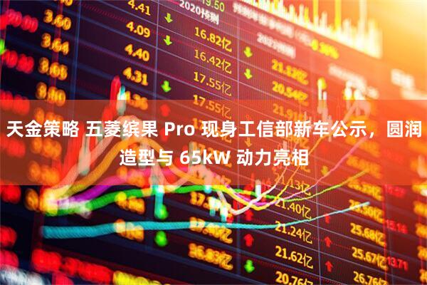 天金策略 五菱缤果 Pro 现身工信部新车公示，圆润造型与 65kW 动力亮相